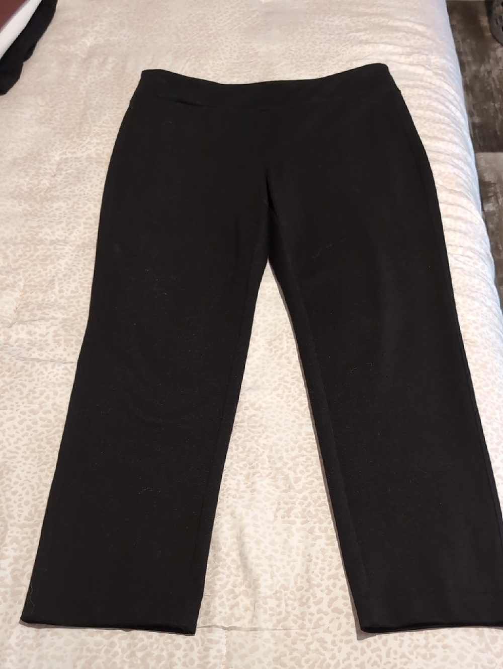 Nic And Zoe Pull On Pants, L